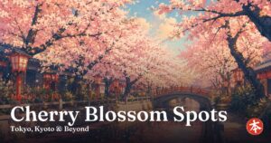 Cherry Blossom Spots — Honto Japan