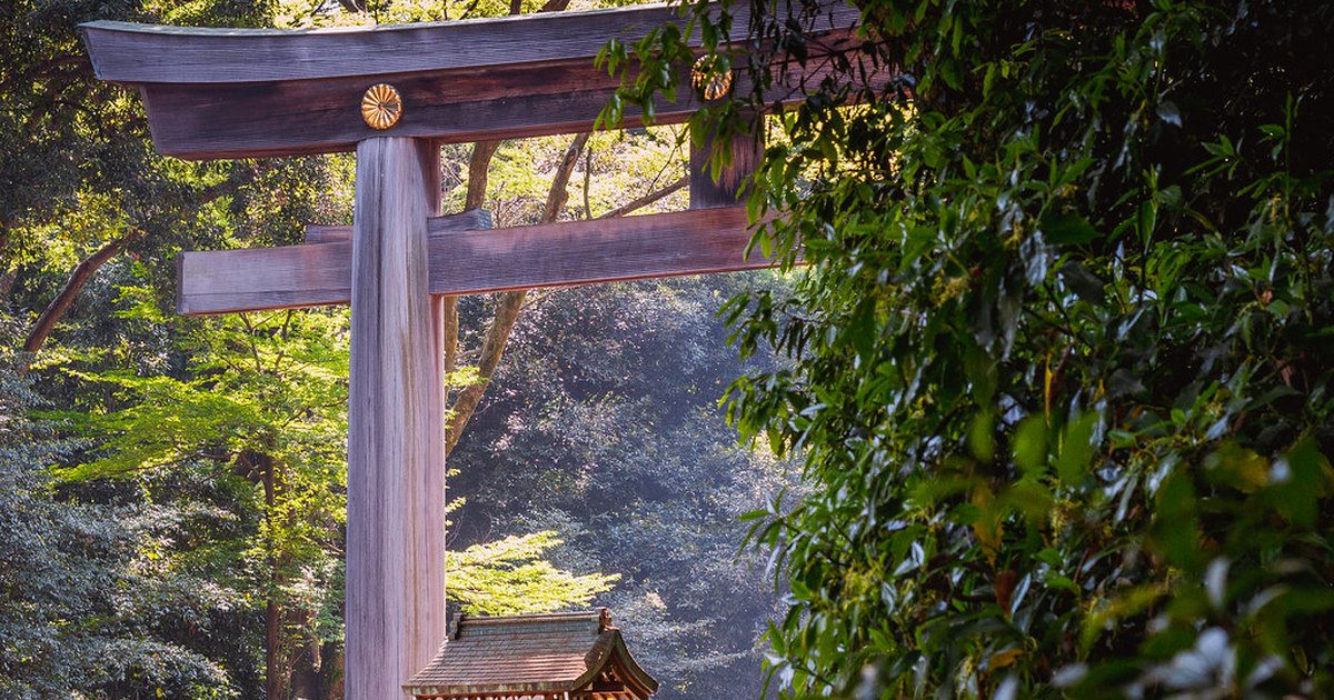 Wooden torii gate of Meiji Jingu framed by dense forest greenery