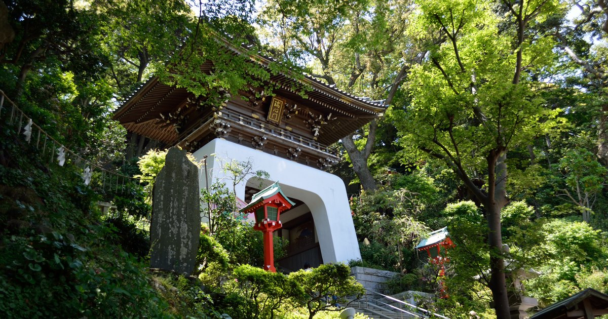 The white gate of Enoshima Shrine with a red lantern stand, surrounded by dense greenery