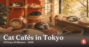Cat Cafés in Tokyo — Honto Japan