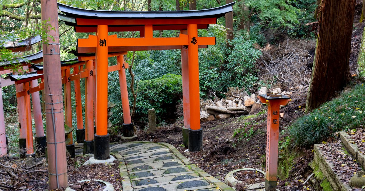 A stone path running under a row of vermilion torii gates at Fushimi Inari shrine in Kyoto