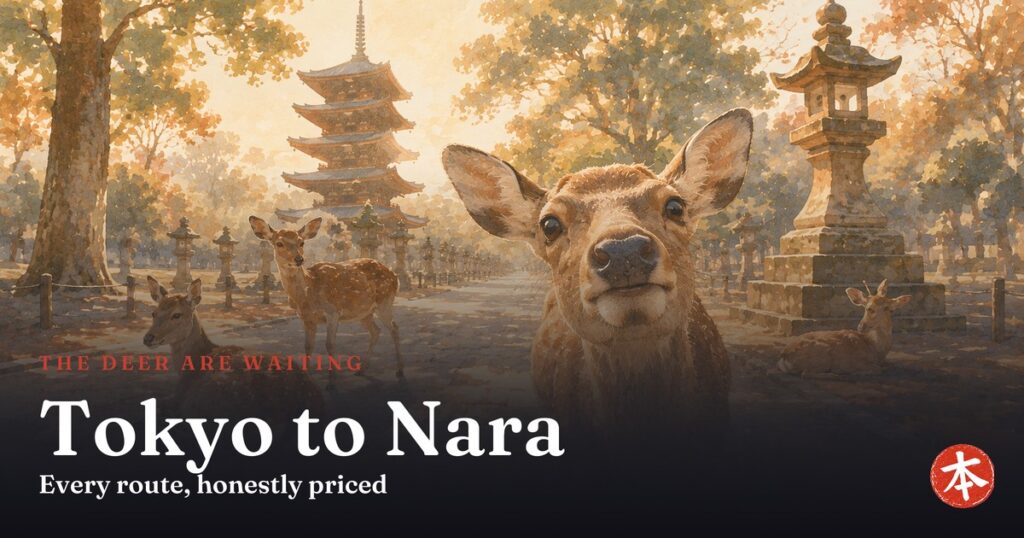 Tokyo to Nara — Honto Japan