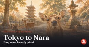 Tokyo to Nara — Honto Japan