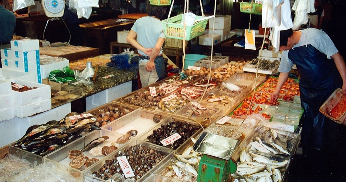 A market stall at Tsukiji with trays of clams, shellfish and whole fish on ice