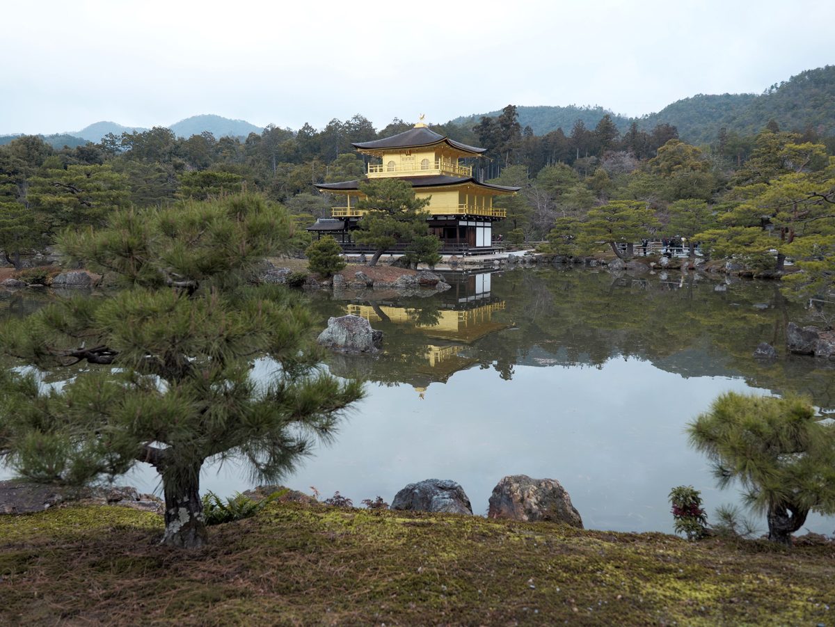 The Golden Pavilion of Kinkaku-ji reflected in its pond, framed by pine trees
