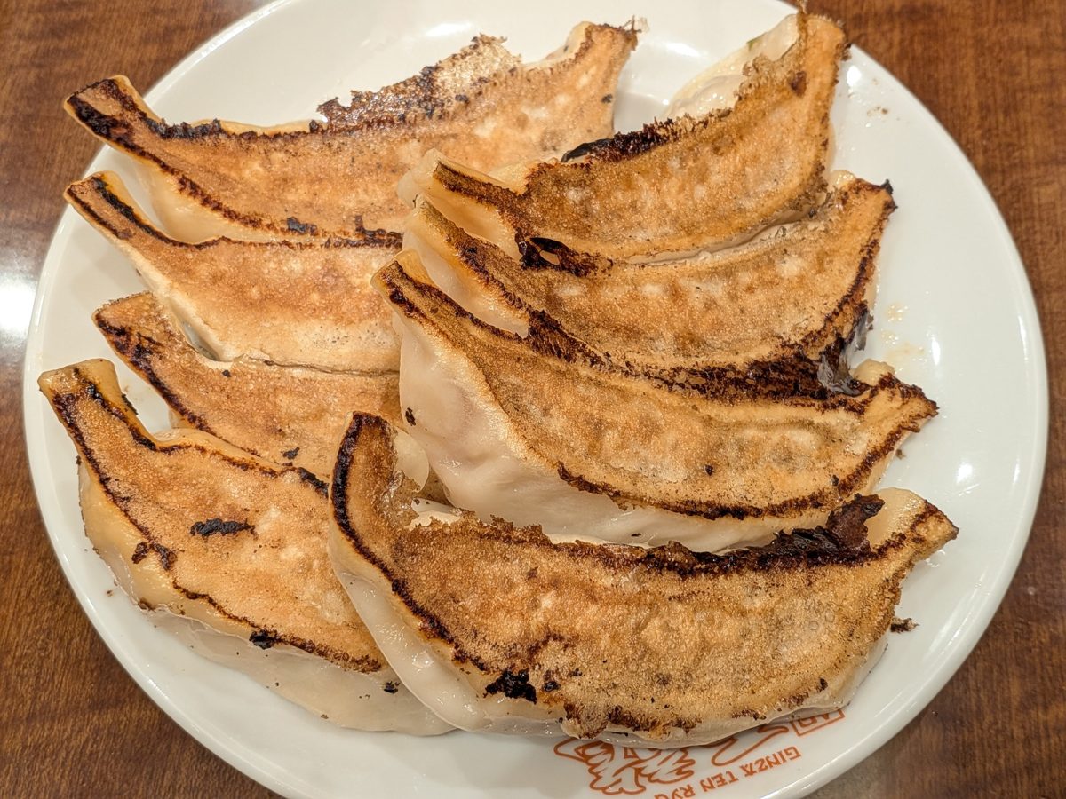 A plate of large pan-fried gyoza with browned, crisp edges