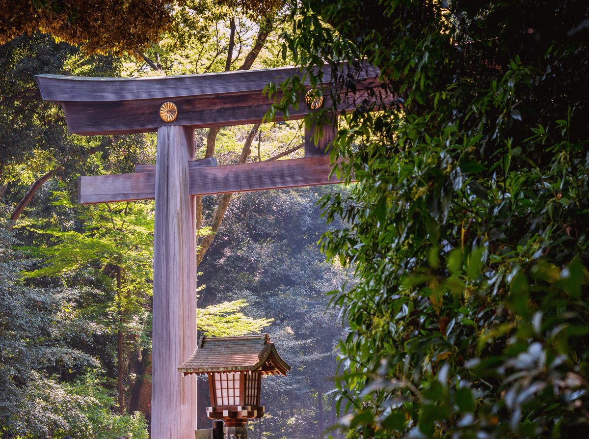 Torii gate on the approach to Meiji Jingu