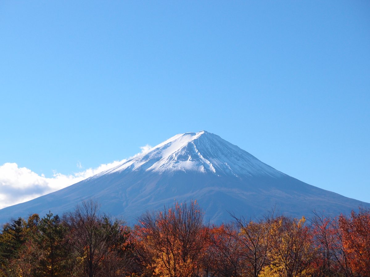 Mount Fuji above red and orange autumn trees near Lake Kawaguchiko