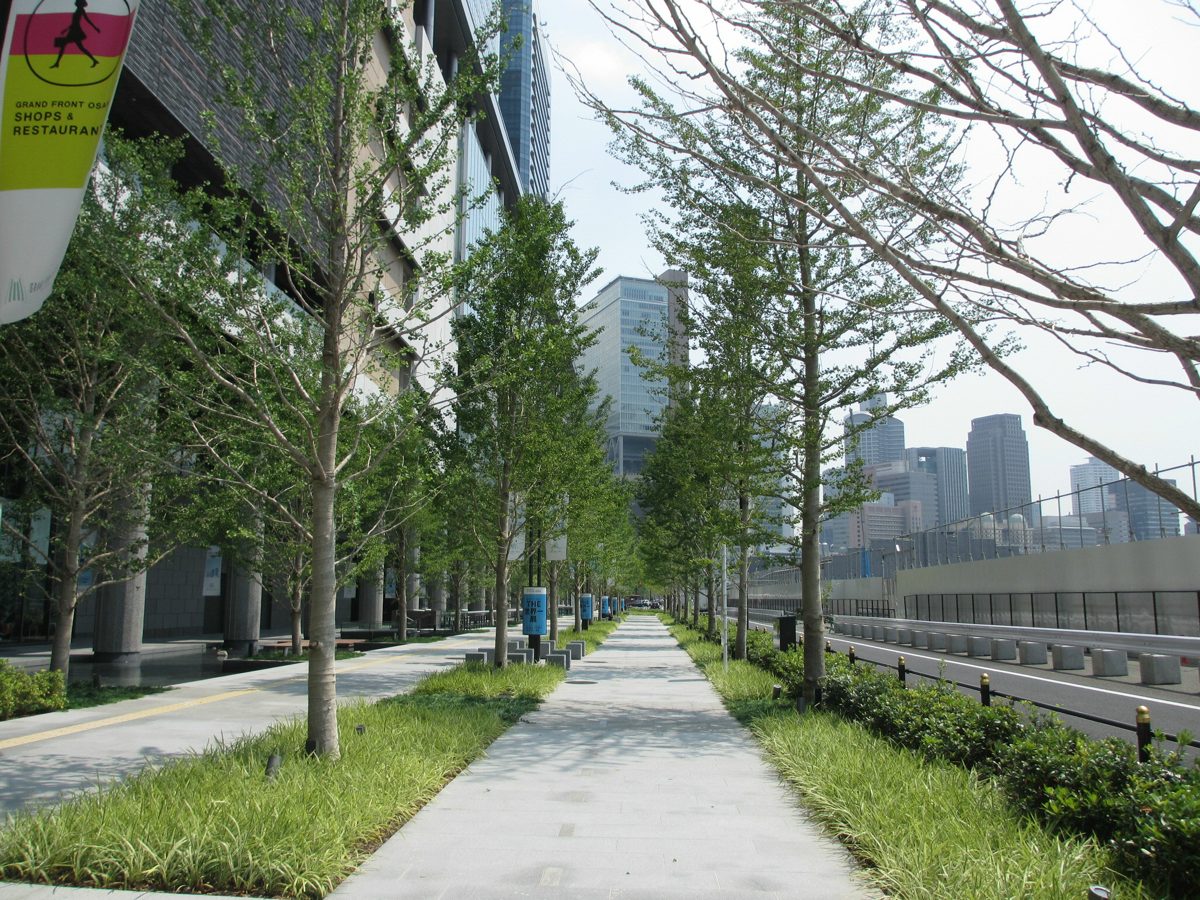 Tree-lined promenade beside Grand Front Osaka