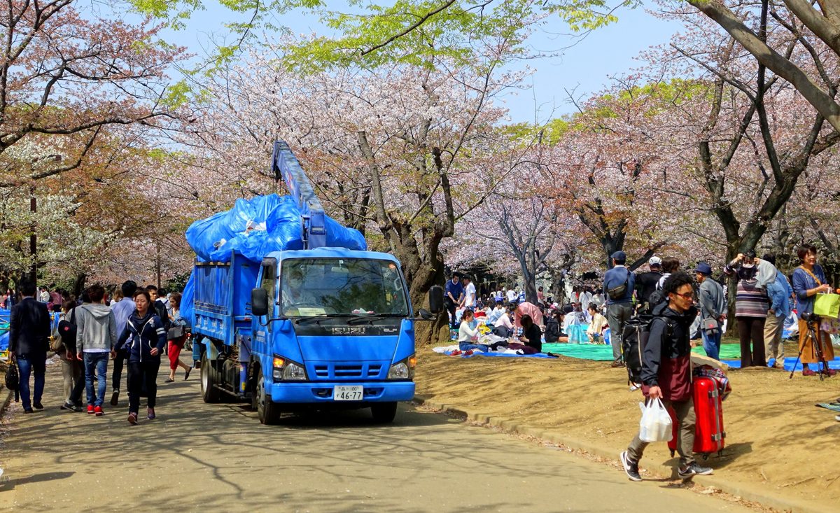 Cherry blossom festival crowd in Yoyogi Park, Tokyo