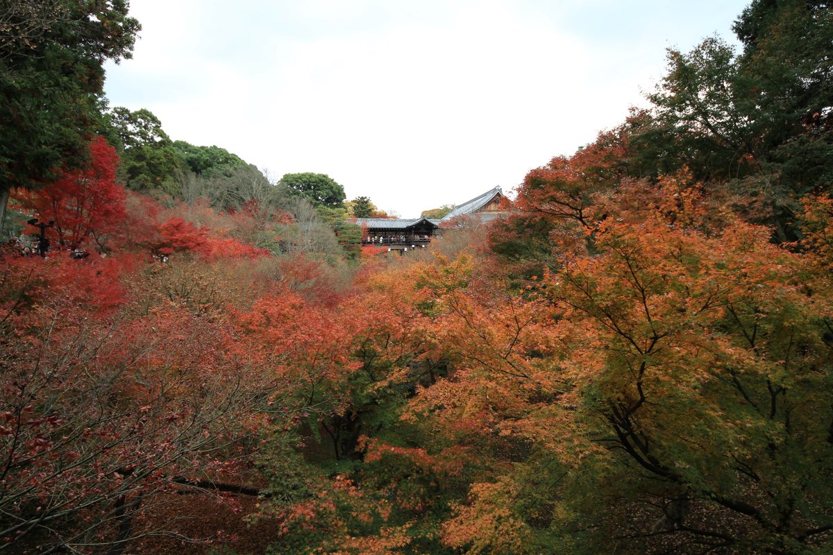 Tsutenkyo bridge at Tofukuji surrounded by autumn leaves