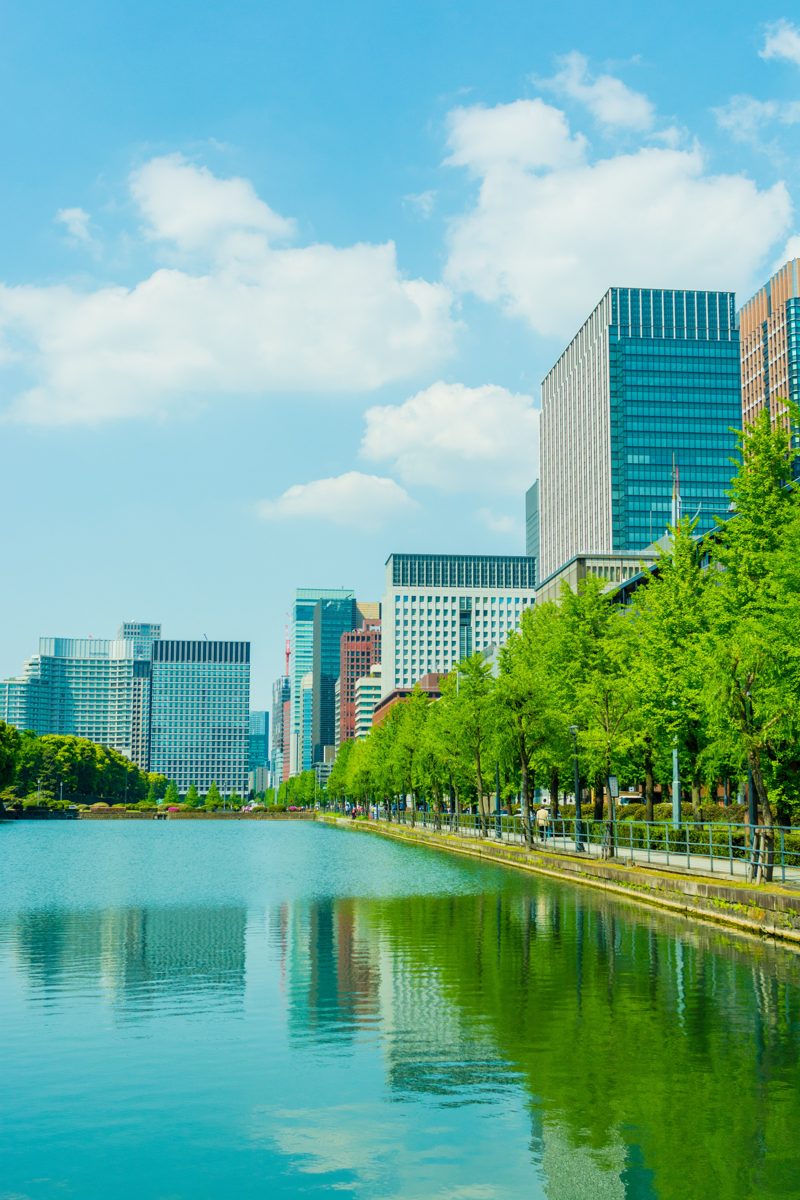 The Imperial Palace moat lined with ginkgo trees, with Marunouchi office towers behind