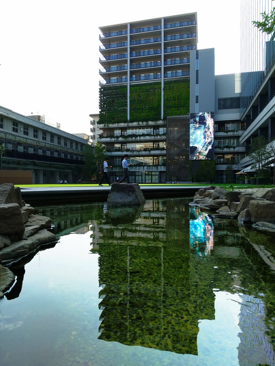 Pond and green wall at Fukuoka Daimyo Garden City