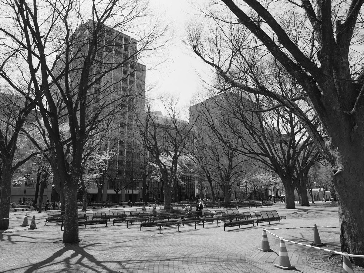 Odori Park in winter