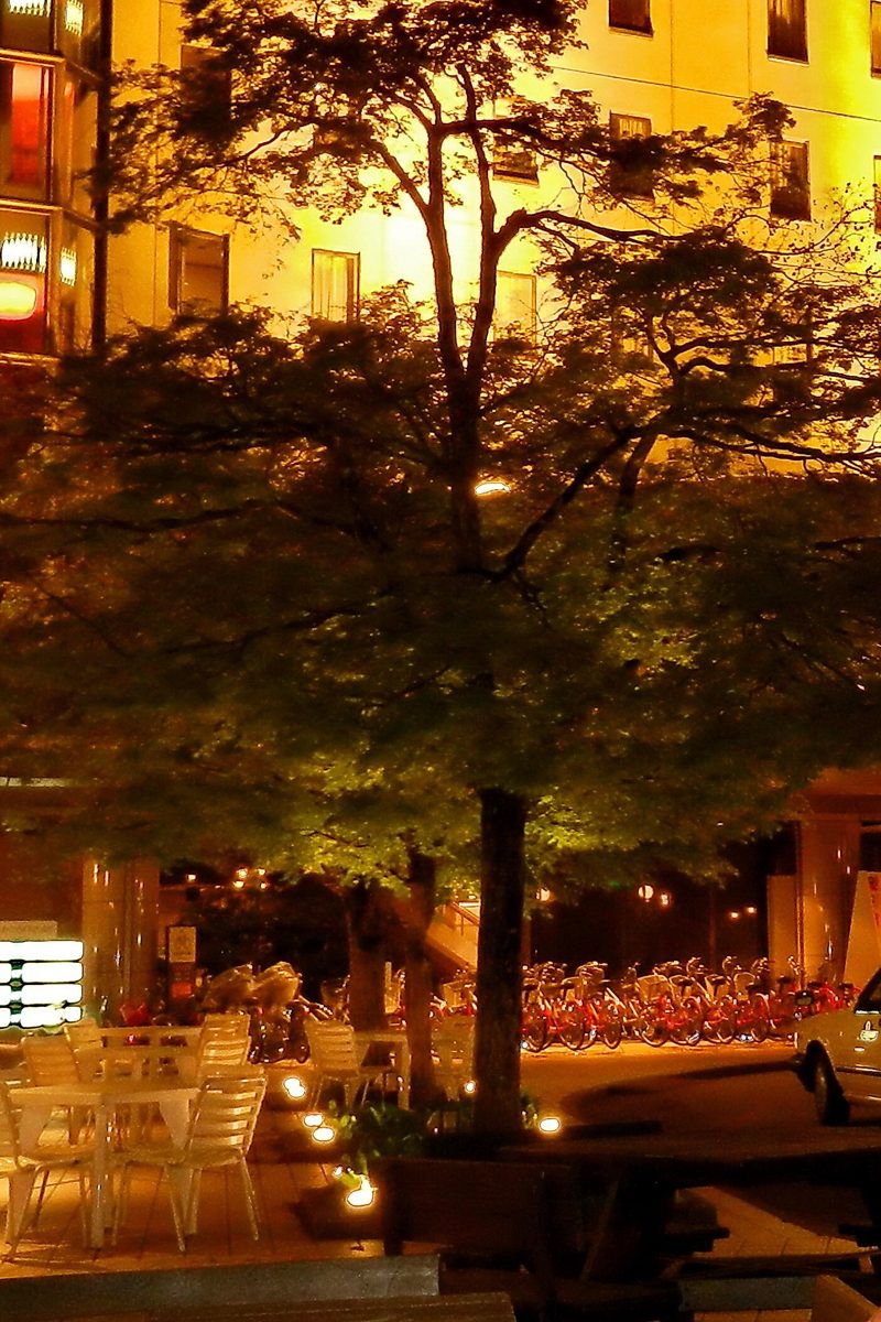 Takayama Green Hotel garden lit at night