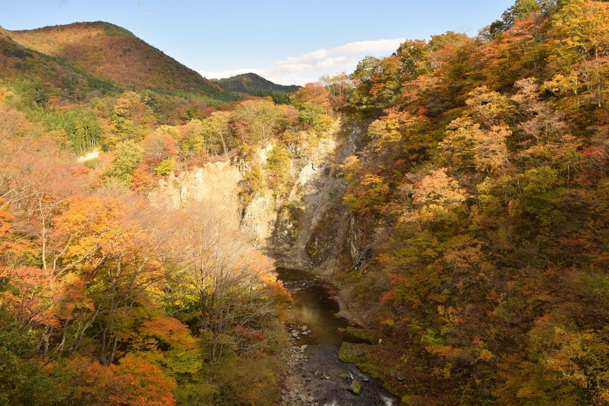 Wooded gorge with orange and red autumn leaves under a blue sky