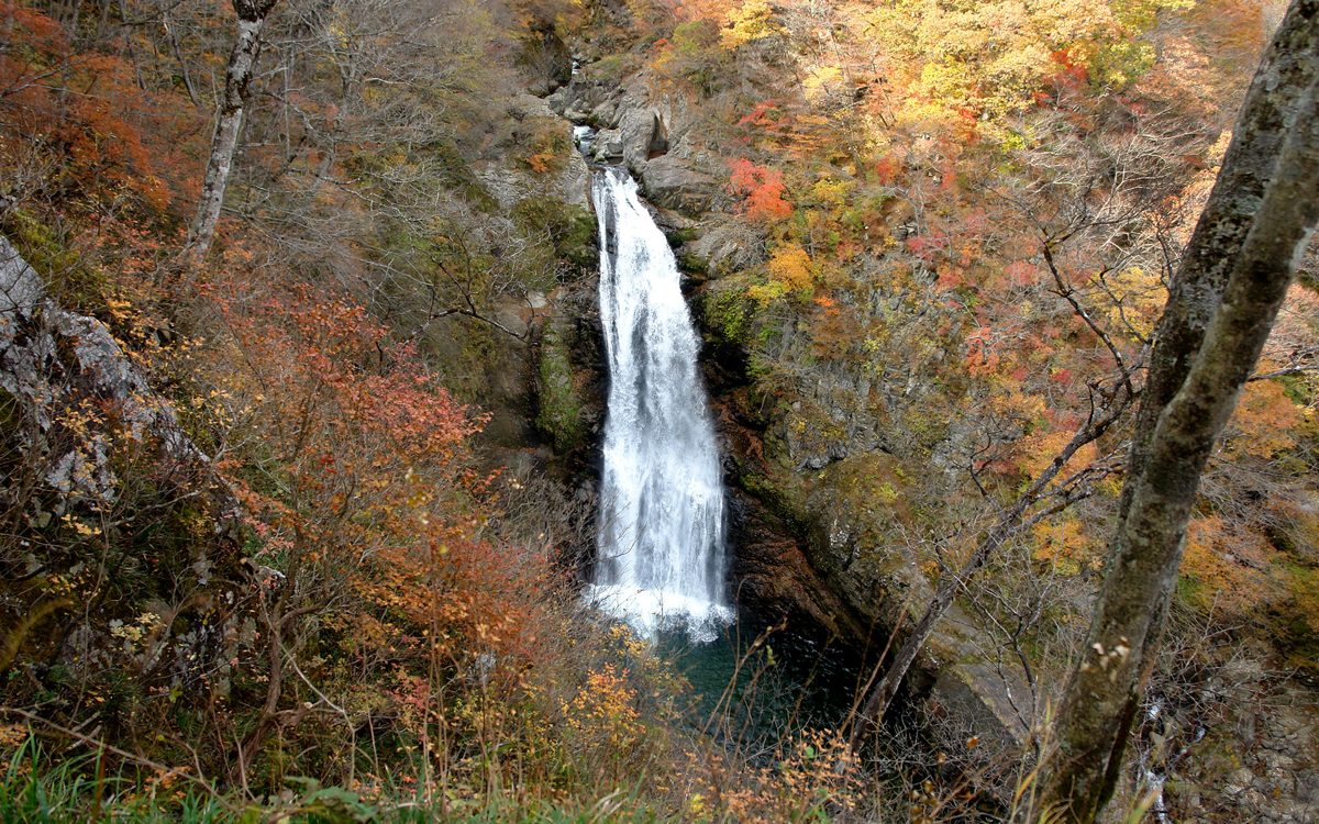 Tall waterfall dropping into a gorge surrounded by autumn trees
