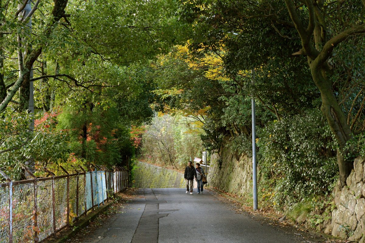 A narrow road under autumn trees with a stone wall, two people walking in the distance