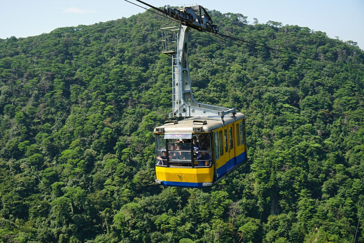 A yellow and blue ropeway gondola above a forested mountainside