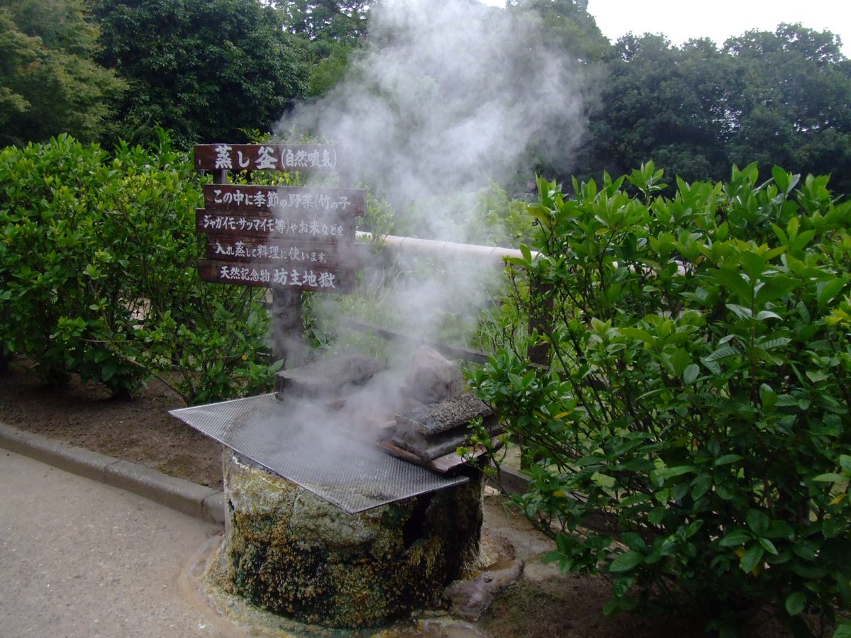 Steam pouring from a stone steam oven set among green shrubs