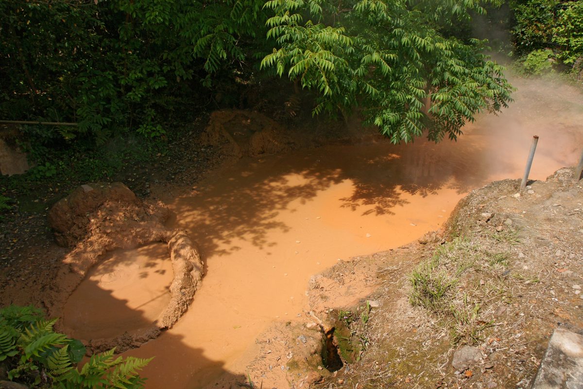 A steaming orange-brown hot-spring pool among rocks and ferns