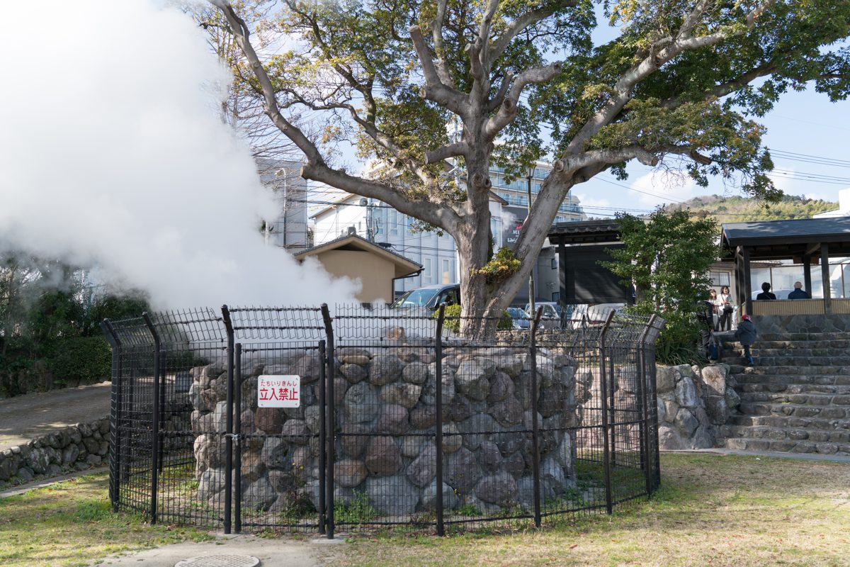 Steam rising from a fenced stone vent under a large tree in a park