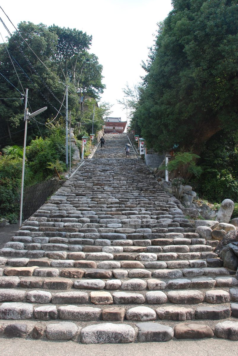 Long stone stairway lined with trees leading up a hill