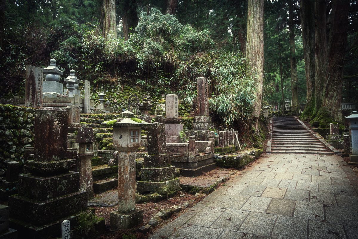 Moss-covered gravestones and stone lanterns beside a paved path in a cedar forest
