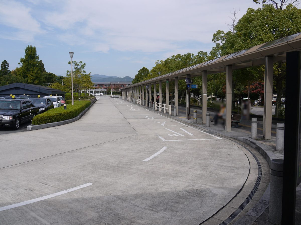 An empty curved bus bay with a long covered waiting area