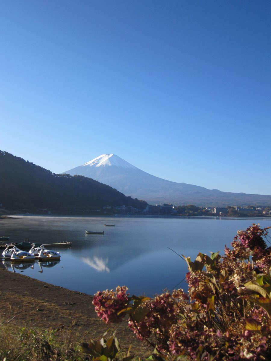 Mount Fuji beyond Lake Kawaguchi with boats moored at the shore and autumn shrubs