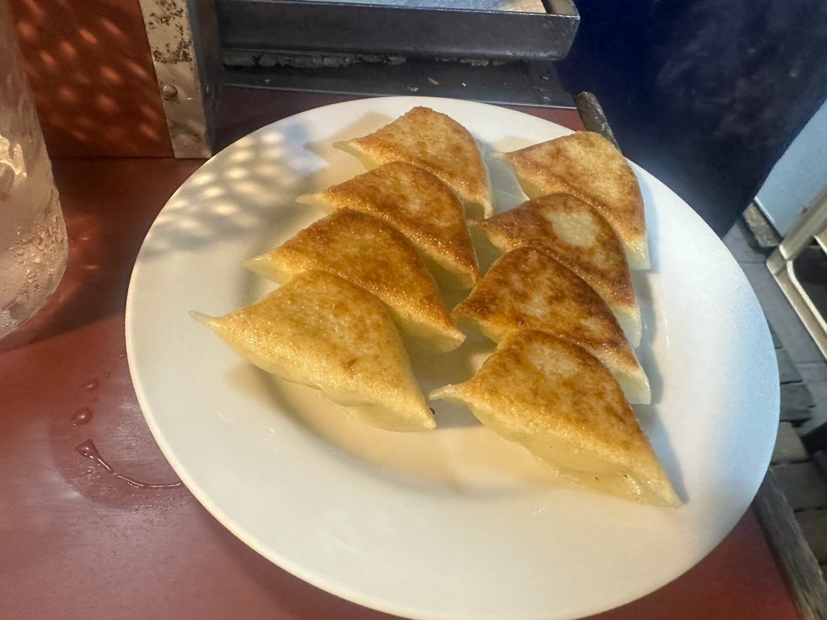 A plate of small pan-fried dumplings
