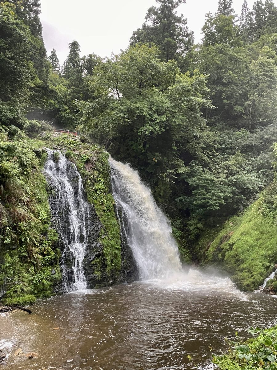 A waterfall in two streams dropping into a brown pool, surrounded by green forest