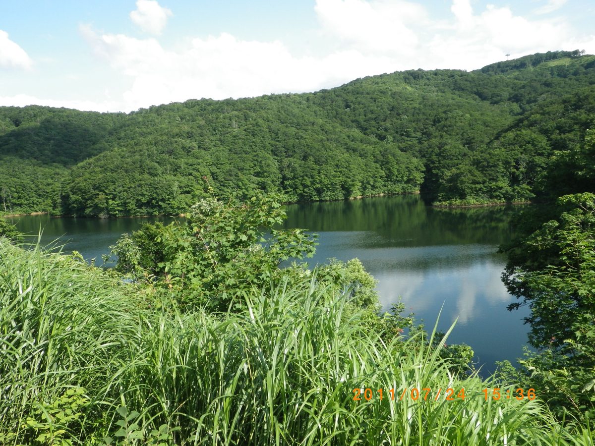 A lake below forested green hills under a partly cloudy sky, with tall grass in front