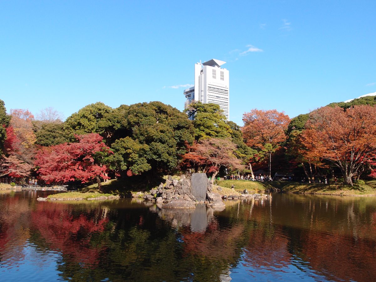 Red and green autumn trees reflected in the pond at Koishikawa Korakuen with a tower beyond