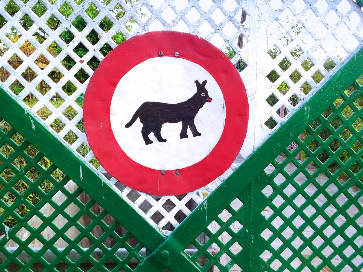 A hand-painted round no-dogs sign on a green lattice fence
