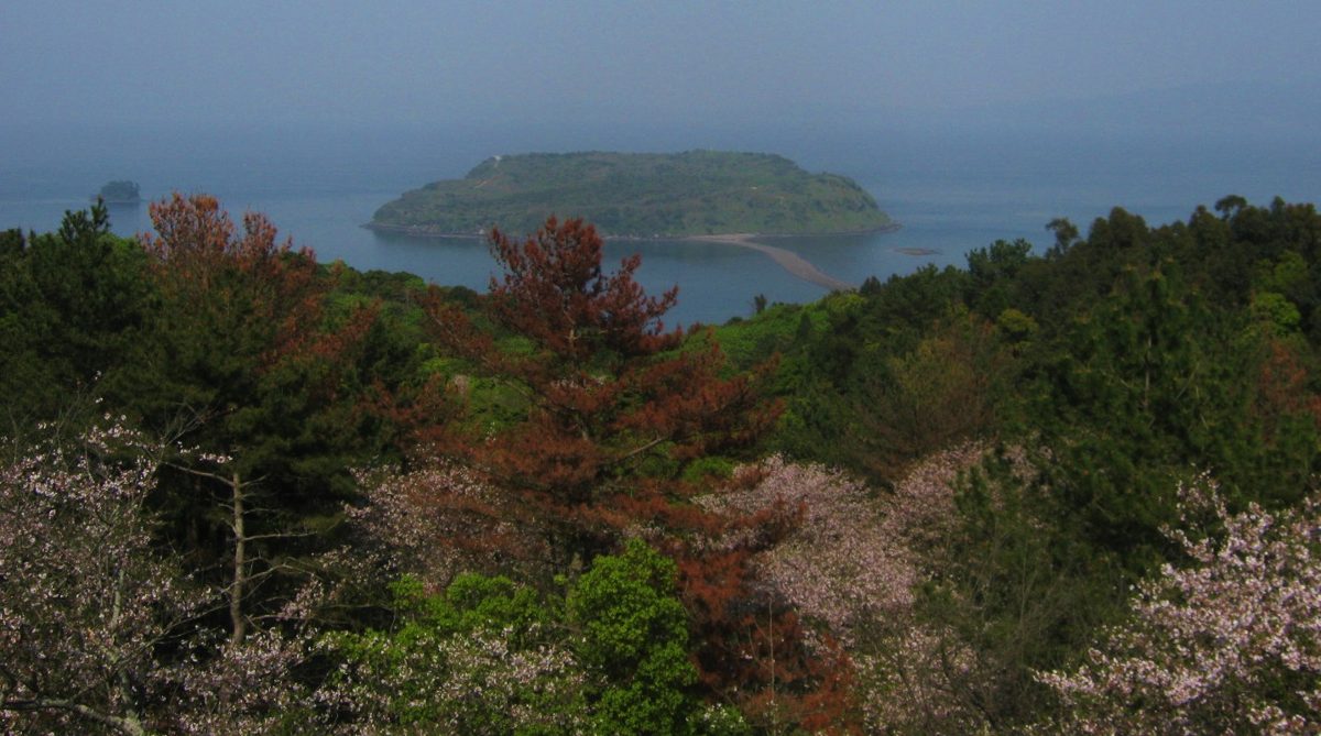 A small wooded island in a hazy sea, seen over trees on a hillside