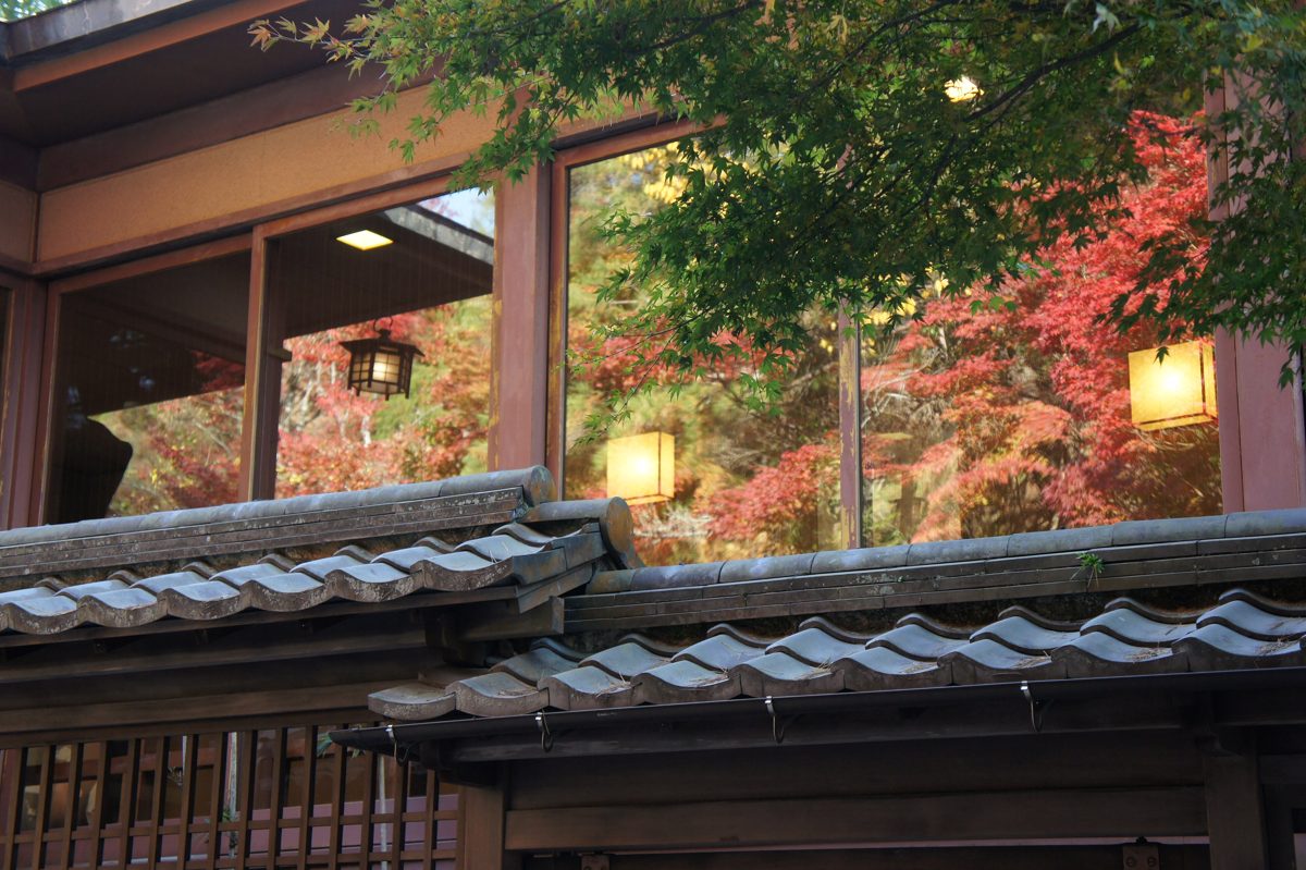Red autumn maples reflected in the windows of a traditional wooden building with a tiled roof