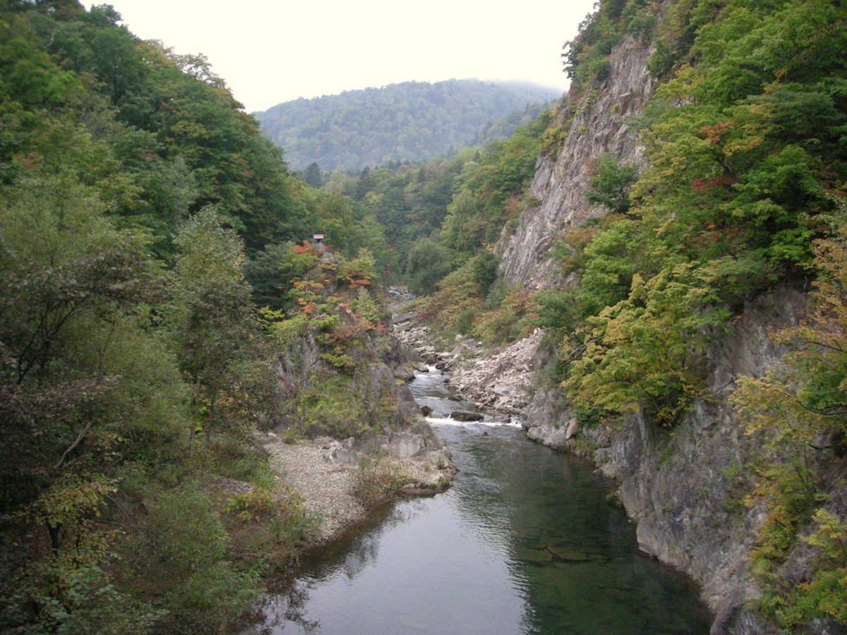 The Toyohira River running through a forested rocky gorge in Jozankei, with a few leaves turning red