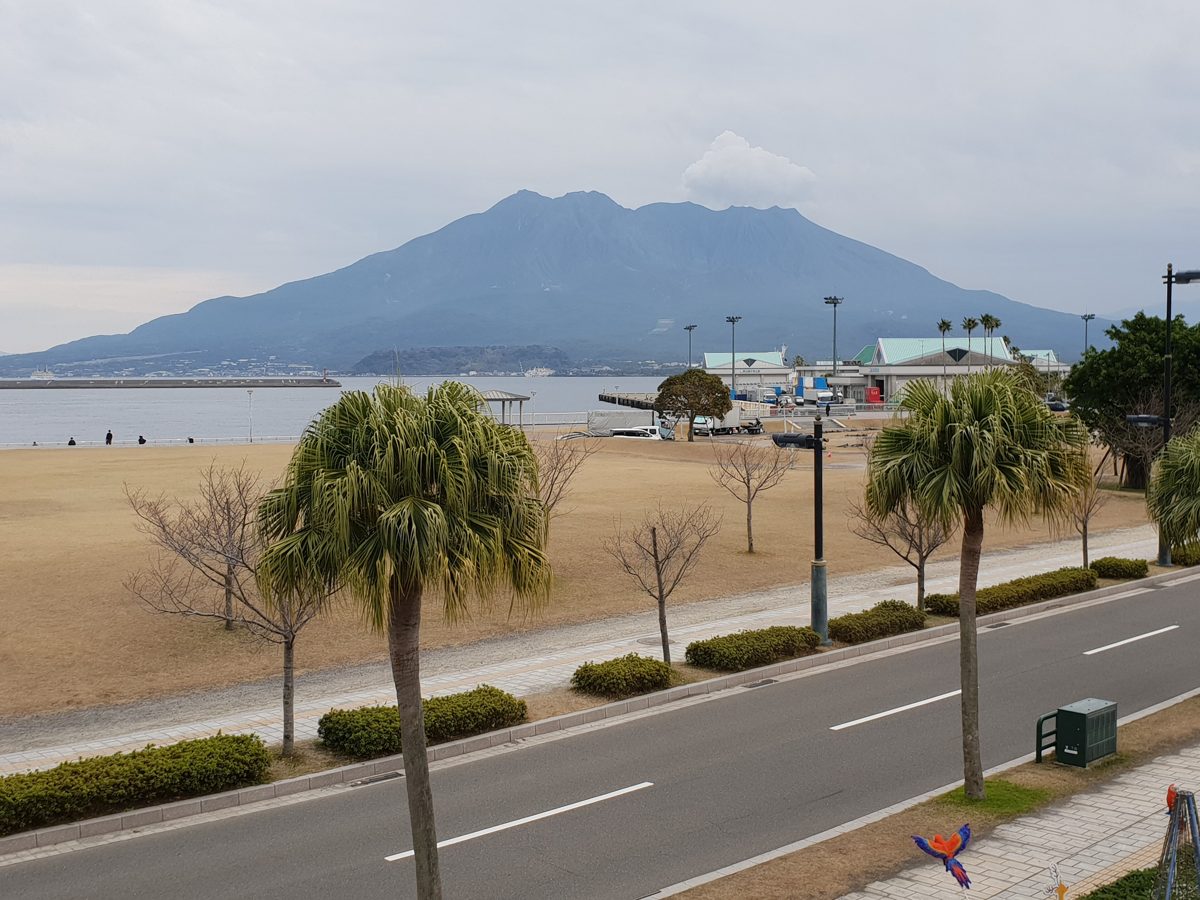 Sakurajima volcano across the water, seen from a seaside road with palm trees