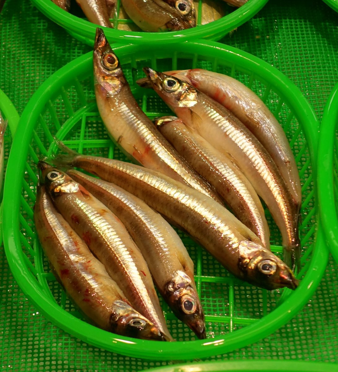 Small silver fish in a green plastic basket at a market stall