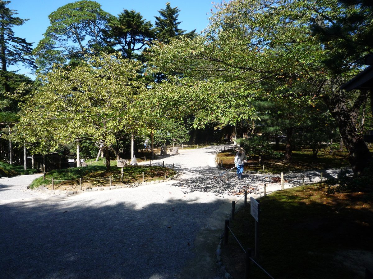 A wide gravel path under leafy trees at Kenroku-en garden on a sunny day