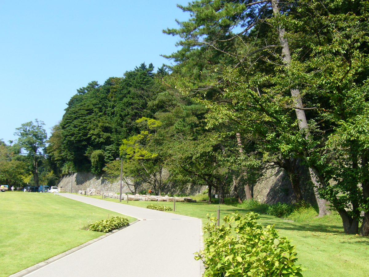 A paved path across a lawn beside trees and an old stone wall at Kanazawa Castle on a sunny day