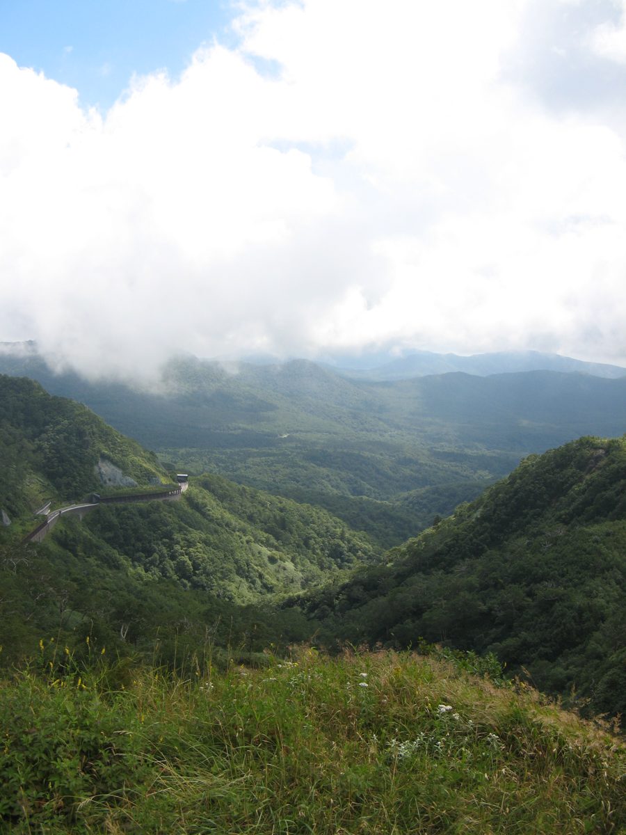 A green mountain valley under clouds seen from a high pass