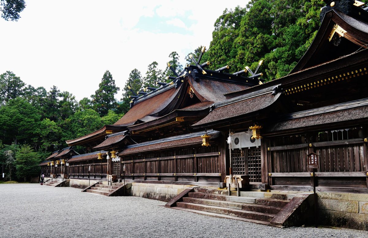 Wooden shrine halls with dark bark roofs on a gravel courtyard in front of a forest