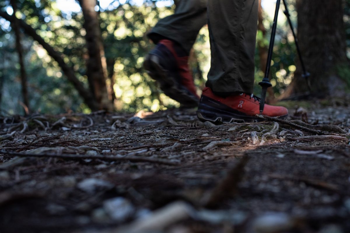 A hiker's boots and trekking poles on a forest path covered with roots and leaves