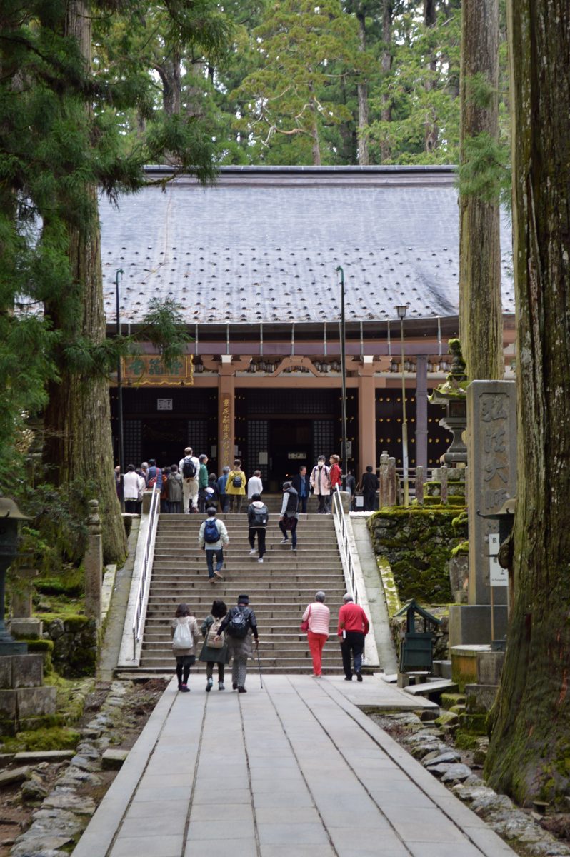 Visitors climbing stone steps toward a wooden hall among tall cedars