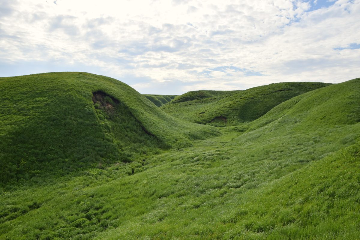 Rolling green grassy hills under a cloudy sky