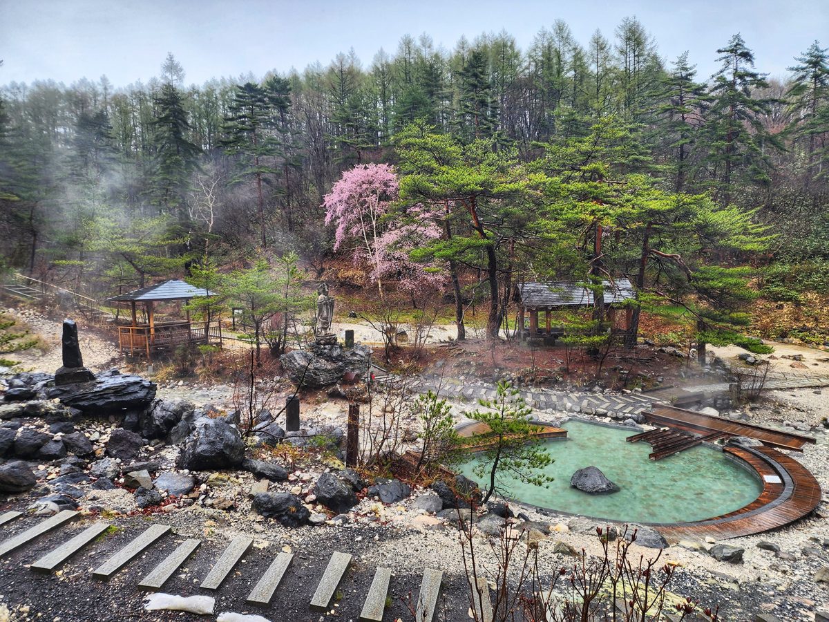 A steaming hot-spring pond among pine trees and a pink cherry tree at Sainokawara Park in Kusatsu