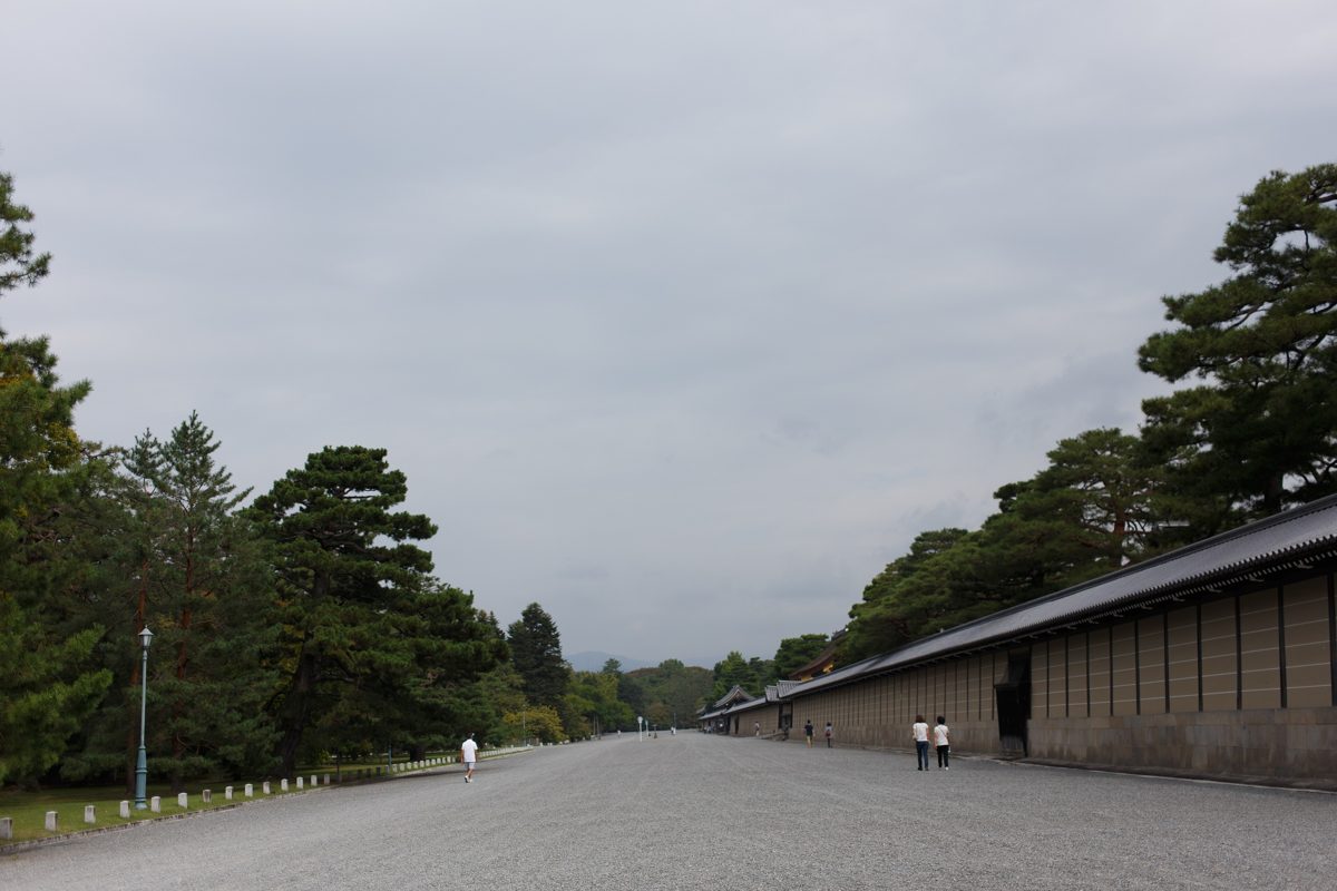 A wide gravel avenue lined with pine trees and a long earthen wall in Kyoto Gyoen on a cloudy day