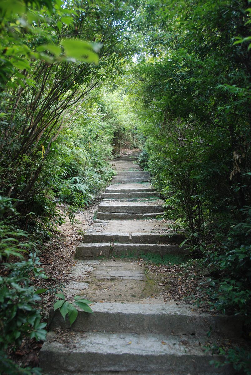 Stone steps climbing through green forest on Mount Misen